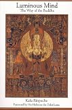 cover of Luminous Mind: Fundamentals of Spiritual Practice