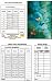 Bridge Tallies - Butterflies in the Mist - (12 Pack) 2 & 3 Table Progessive