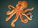 Plush Brown Octopus 13