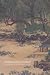 Transcending Turmoil: Painting at the Close of China's... bij Boeken bij de naam: 511R4FJ4g-L._SL75_