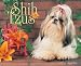 Book Just Shih Tzus