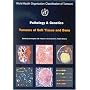 Pathology and Genetics of Tumours of Soft Tissue and Bone (IARC WHO Classification of Tumours)
