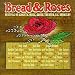 Bread & Roses Festival 1977