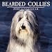 Bearded Collies 2000 Calendar