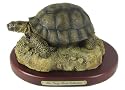 Galapagos Tortoise Figurine
