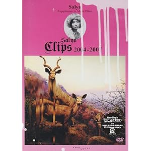 【クリックで詳細表示】Salyu Clips 2004-2007 [DVD]