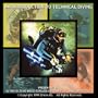 An Introduction to Technical Diving