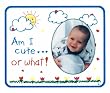 Am I Cute Or What !- Photo Magnet Frame