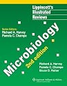 Microbiology (Lippincott's Illustrated Reviews Series)