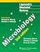 Book Lippincott's Illustrated Reviews: Microbiology (Lippincott's Illustrated Reviews Series)