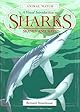 Sharks (First Library Books)