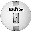 Wilson AVP Official Beach Ball