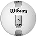 Wilson AVP Official Beach Ball