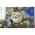 地方自治法施行60周年記念貨幣(CJ1C90036)第6回 「茨城県」500円バイカラー・クラッド貨<カード型ケース入>