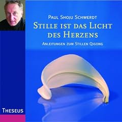 Stille ist das Licht des Herzens: Anleitungen zum stillen Qigong