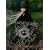 Bjork: Greatest Hits - Volumen [DVD] [1993] [Region 1] [US Import] [NTSC]