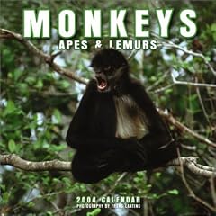 Monkeys Wall Calendar: 2004