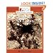 Inside an Ant Colony (Rookie Read-About Science)