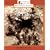 Inside an Ant Colony (Rookie Read-About Science)