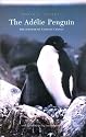 The Adelie Penguin