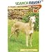 Pet Owner's Guide to the Whippet (Pet Owner's Guide)