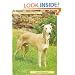 Pet Owner's Guide to the Whippet