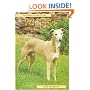 Pet Owner's Guide to the Whippet