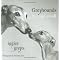 All About Greyhounds (adopt a greyhound!)