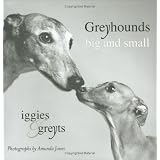 Greyhounds Big and Small: Iggies and Greyts