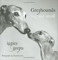 Greyhounds Big and Small: Iggies and Greyts