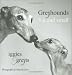 Greyhounds Big and Small: Iggies and Greyts