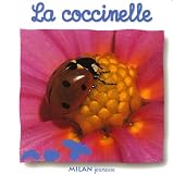 La coccinelle