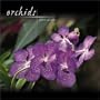 Orchids 2004 12-month Wall Calendar