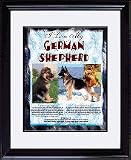 German Shepherd 8 x 10 Double Matted Framed Photograph