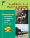 Grundlektionen und Hufschlagfiguren in der Praxis: Kompaktes Wissen