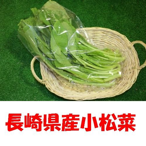 九州　長崎県産　農産物直売所　販売用　小松菜　1袋
