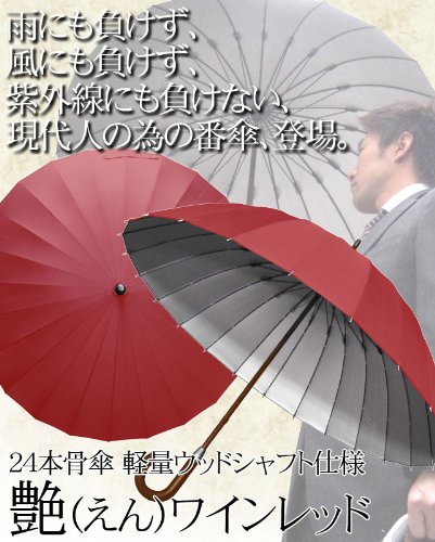 24本骨傘 軽量ウッドシャフト仕様 【艶】(えん) 直径約105cm ワインレッド 22824
