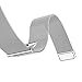 Teslasz BIS00301 38 mm Stainless Steel Milanese Loop Strap Magnetic Buckle Wrist Band for Apple iWatch - Silver