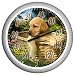 Outdoor Living : Springfield Precision Instruments Model 90007-63 13.25" Lab Puppy Low Profile Patio Thermometer