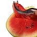 Watermelon Cutter & Slicer by Kentone by Kentone
