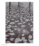 Three Worlds M.C. Escher 22x26