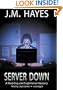 Server Down (A Mad Dog & Englishman Mystery) (Library Edition)