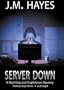 Server Down (A Mad Dog & Englishman Mystery)(Library Edition)