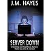 Server Down (A Mad Dog & Englishman Mystery)(Library Edition)