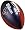 Houston Texans