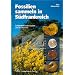 Fossilien sammeln in S�dfrankreich: Fundstellen in den Causses und der Provence