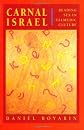 Carnal Israel: Reading Sex in Talmudic Culture (New Historicism-Studies in Cultural Poetics , No 25)
