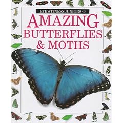 Amazing Butterflies and Moths (Eyewitness Junior)