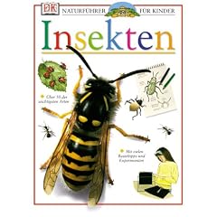 Naturf�hrer f�r Kinder. Insekten: �ber 50 der wichtigsten Arten. Mit vielen Basteltipps und Experimenten