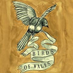 Birds of Wales